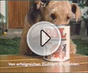 Unsere Airedales im TV